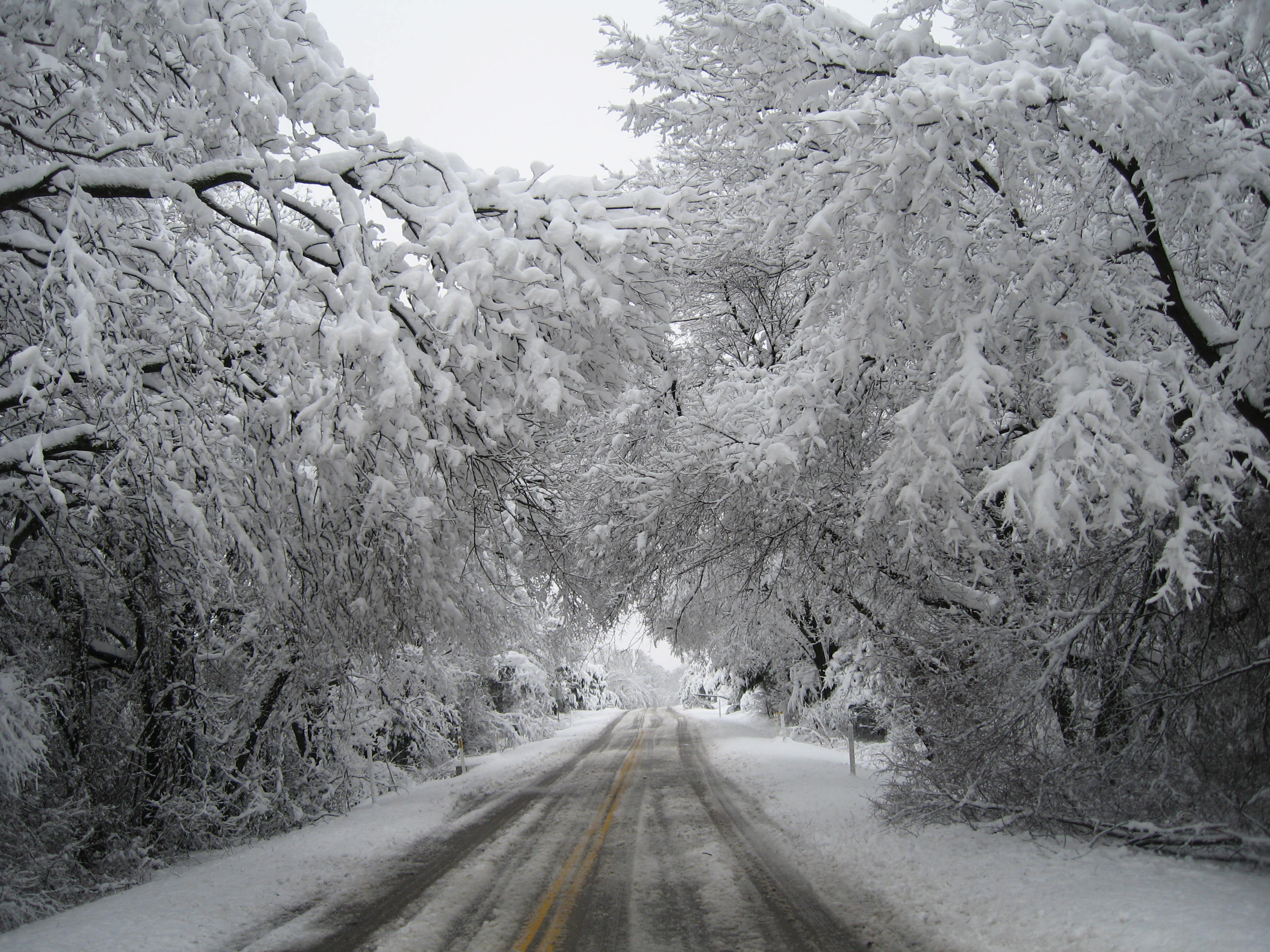 10.02.11 cedar hill snow scenes 078